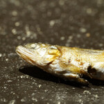 すし匠 齋藤 - 稚鮎焼き