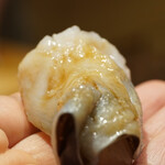 すし匠 齋藤 - 鳥貝