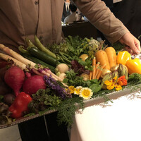 レフェルヴェソンス - 