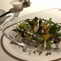 レフェルヴェソンス - 