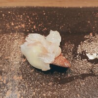 匠 すし昂 - 