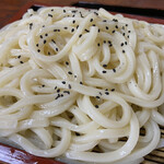 富士 - ざるうどんはコシがあってつるつるでした
      黒ゴマがかけられています