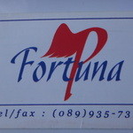 Fortuna - 