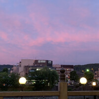 モリタ屋 木屋町店 - 