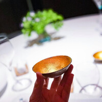 レフェルヴェソンス - 