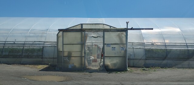 夕緋 - 釧路（その他）の写真