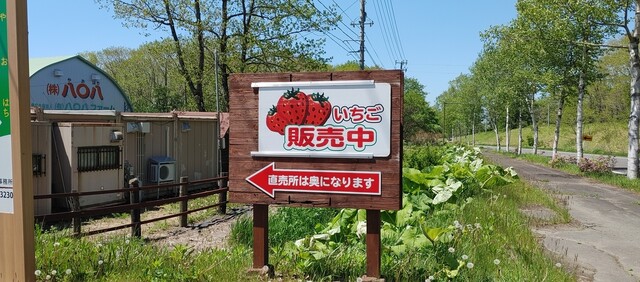 夕緋 - 釧路（その他）の写真