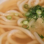 富泉 - かけうどん