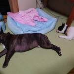 民宿つるや - おくつろぎ