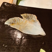 匠　達広 - 