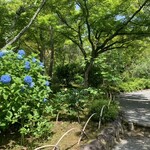 パンとエスプレッソと嵐山庭園 - 