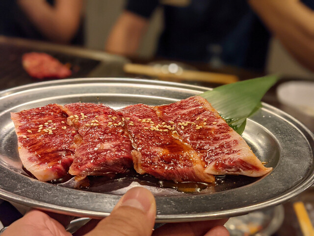 焼肉ホルモンだるま 広尾本店 広尾 焼肉 ネット予約可 食べログ 焼肉ホルモンだるま 広尾本店 広尾 焼肉 ネット予約可 食べログ