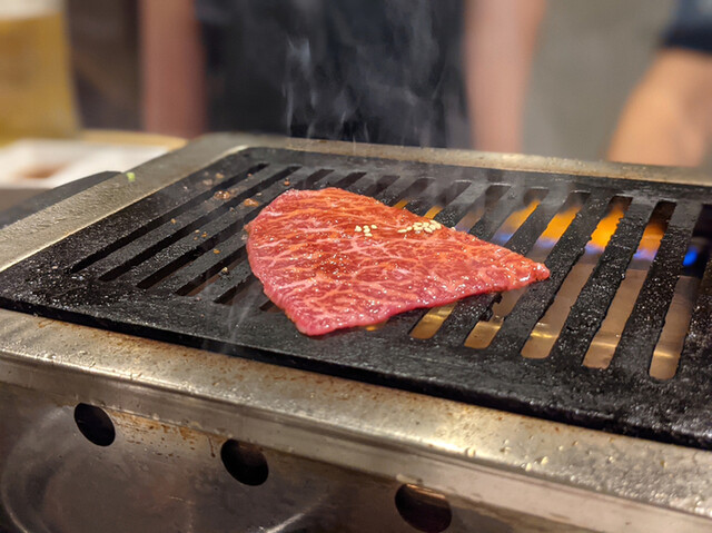焼肉ホルモンだるま 広尾本店 広尾 焼肉 ネット予約可 食べログ 焼肉ホルモンだるま 広尾本店 広尾 焼肉 ネット予約可 食べログ