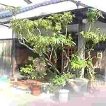 あかね坂　長楽 - 