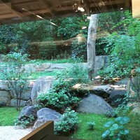 鉄板焼 しろかね - 