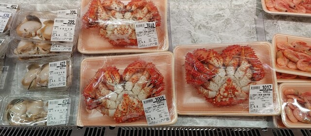 ザ・ビッグ 鳥取大通店（BiG） - 新富士（コンビニ・スーパー）の写真