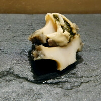 まんてん鮨 日比谷オクロジ店 - 蝦夷アワビ