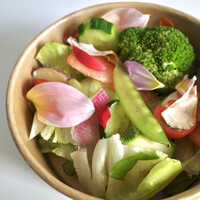 antica locanda MIYAMOTO - 