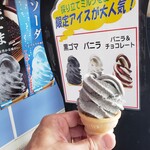 那須クラシックカー博物館 - 