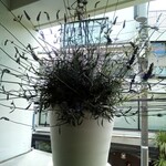 USHIGORO Bambina - ウェイティングブースの花