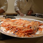 島津 - 牡丹エビ