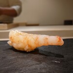 島津 - 牡丹エビ