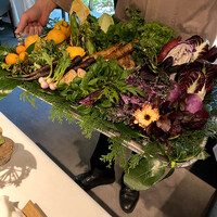 レフェルヴェソンス - 