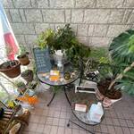 ビストロ セレニテ - 