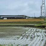 ビストロ セレニテ - 