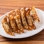 Special garlic fried Gyoza / Dumpling (5 pieces)