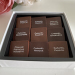 ピエール マルコリーニ - 