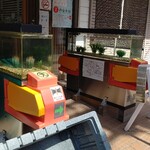 ケーコーヒー - 金魚のまち