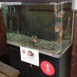 ケーコーヒー - 金魚のまち