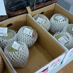 四季菜 - 