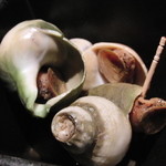 わさび - お通し（つぶ）　※これが予想外においしかった