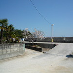 石風呂温泉岩乃屋 - 岩風呂前風景9