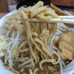 らーめん  忍者 - エッジの利いたムチムチ麺
