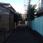 麺屋 優創 - 立地は結構住宅街。道すがら、見たこともない、デカいイチジクの樹を見付けて驚く。