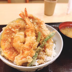 Tendon Tenya - 