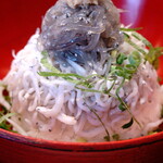 Akimoto - 御飯の上に”釜揚げしらす”、”生しらす”、そして天辺には”おろし生姜”が乗っています。綺麗と言うか？滑稽さも感じるユニークな盛り付け方です。