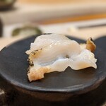 鮨みやもと - つぶ貝　北海道増毛産