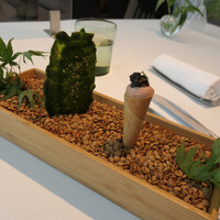 プレヴナンス - 