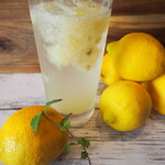 homemade lemon sour