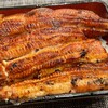 うなちゃん - 料理写真:うなちゃん(うなちゃんの蒲焼きを使ってうな重)