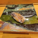 小判寿司 - メヒカリ