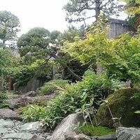 御料理ふじ居 - 入り口から見た庭