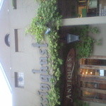 シシングハースト - 