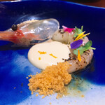 セルサルサーレ - 