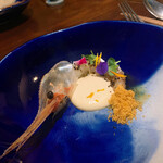 セルサルサーレ - 