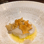 セルサルサーレ - 